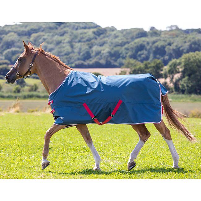 Shires Tempest Original Lite Turnout Sheet - Teal image number null