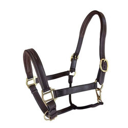 RHC Equestrian Padded Leather Halter with Fancy Stitching - Brown