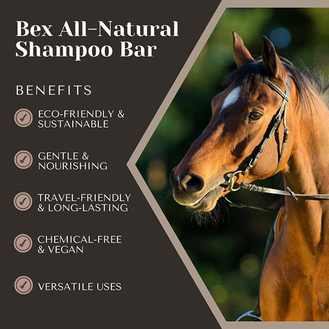 Bex Bar Soap Co Shampoo Bar - Eucalyptus Rain image number null