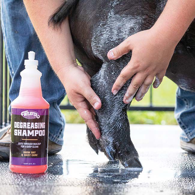 Weaver Livestock Degreasing Shampoo image number null