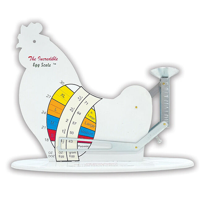 The Incredible Egg Scale image number null