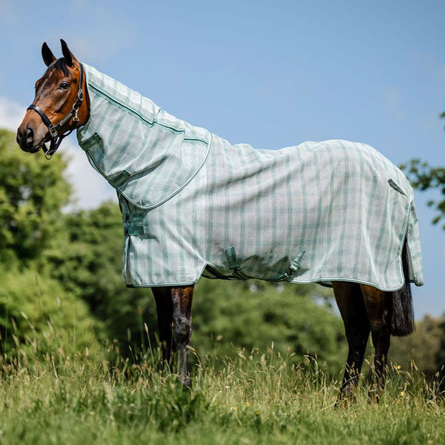 Horseware Newmarket Plus Fly Sheet - Witney Dynasty image number null