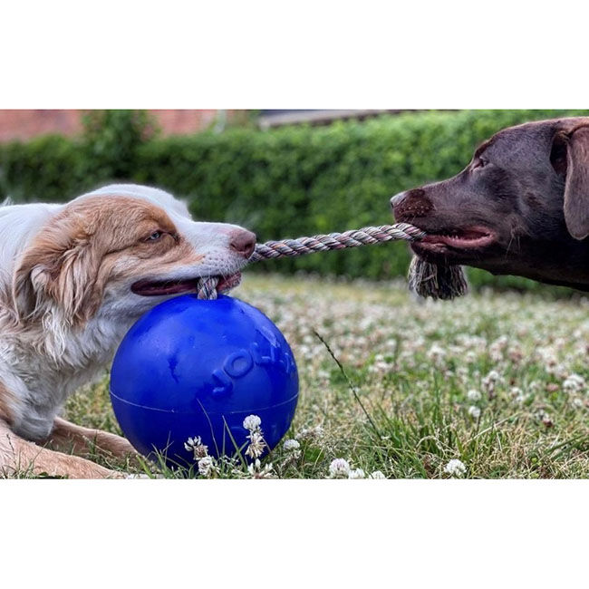 Jolly Pets Romp-N-Roll Dog Toy image number null