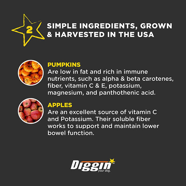 Diggin Your Dog Firm Up! - Digestive Aid Pumpkin Powder image number null