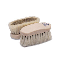 Champion 6-1/4" Dandy Brush with Union Center & Tampico Border