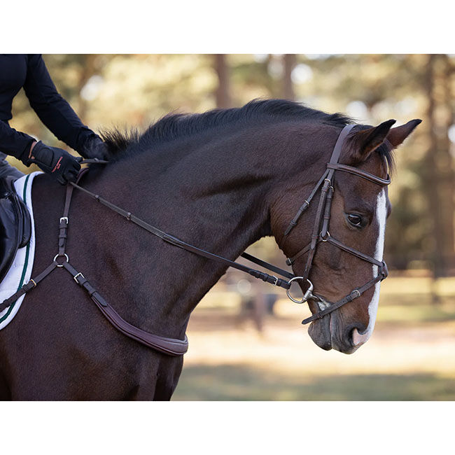 Correct Connect Free Motion Breastplate image number null