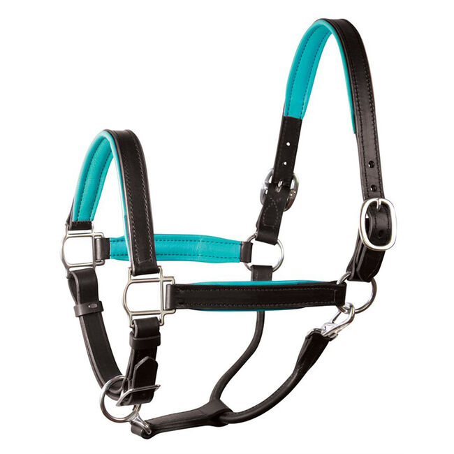 Perri's Leather Padded Leather Halter image number null