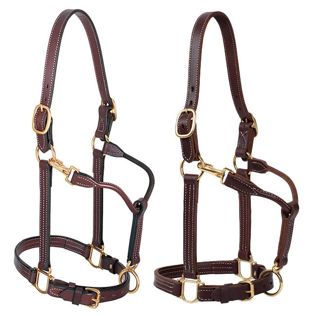 Weaver Equine 1" Track Halter image number null