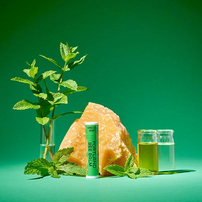 Portland Bee Balm Lip Balm - Oregon Mint image number null