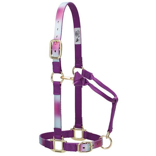 Weaver Nylon Ombre Adjustable Horse Halter The Cheshire Horse