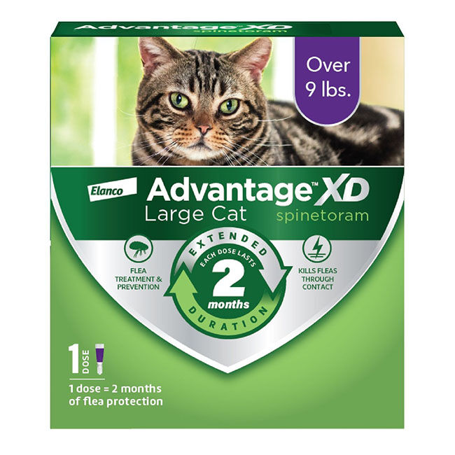 Elanco Advantage XD for Cats image number null