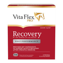 Vita Flex Pro Recovery - Post-Performance Supplement - 12 Packets
