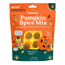 Woof Pupsicle Treat Mix - Pumpkin Spice - 5.5 oz