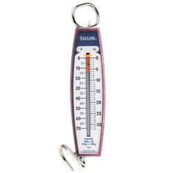 Taylor 70lb Vertical Hanging Scale