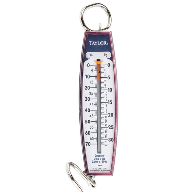 Taylor 70lb Vertical Hanging Scale image number null