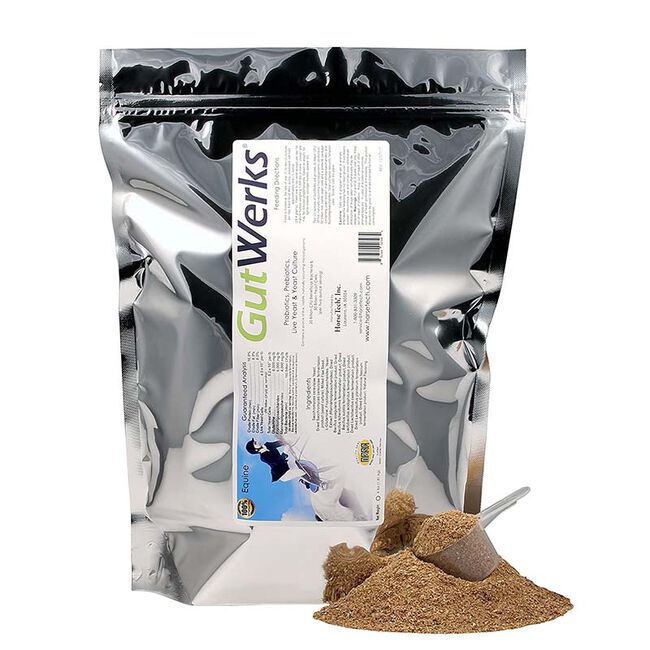 Horsetech Gutwerks image number null