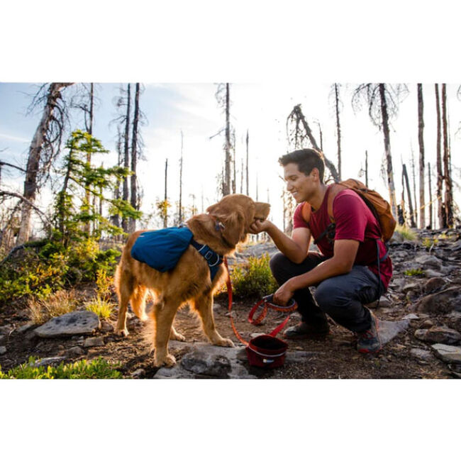 Ruffwear Front Range Day Pack - Closeout image number null