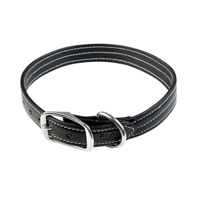 Walsh British Dog Collar image number null