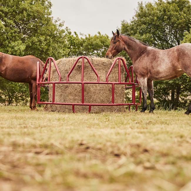 Tarter Equine Pro Hay Feeder image number null