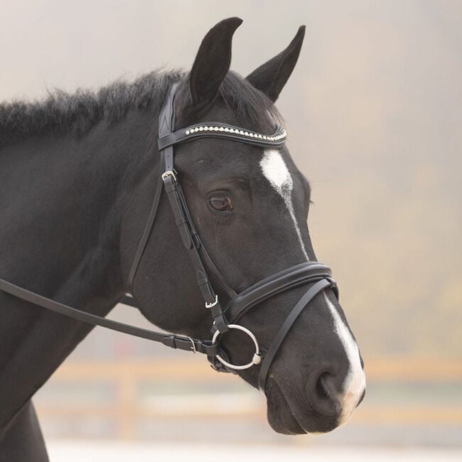 KL Select Black Oak Magnolia Dressage Bridle image number null