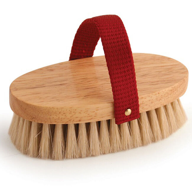 Jacks Equestria Legends 4-1/2" Wilbur Show Brush image number null