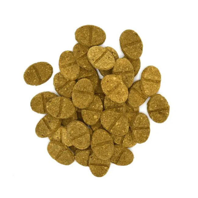 Oxbow Animal Health Natural Science Digestive Support for Small Animals image number null