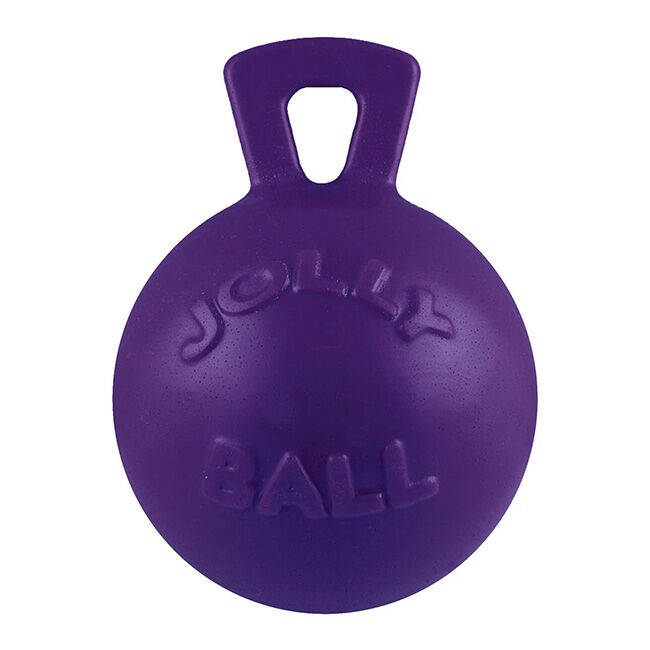 Jolly Pets Tug-N-Toss Dog Toy image number null