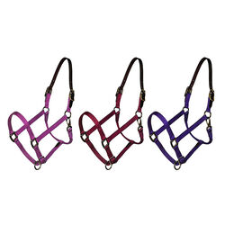 Triple E 3/4" Breakaway Adjustable Nylon Foal Halter
