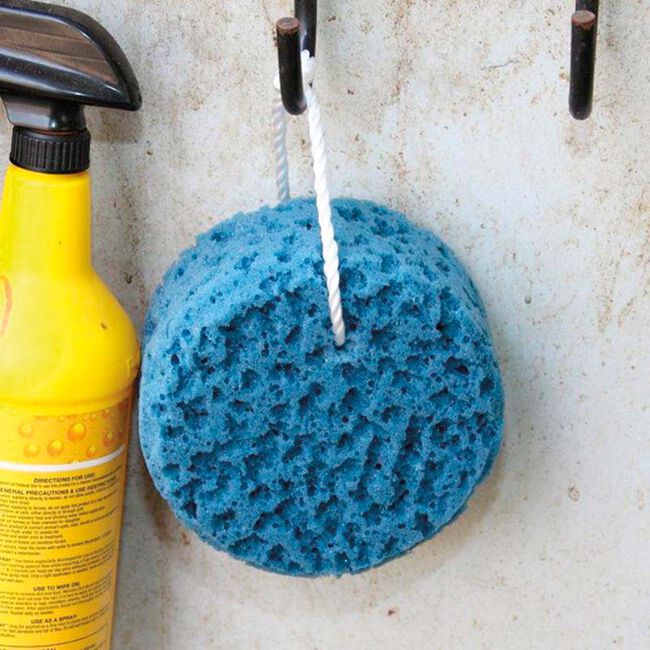 Tail Tamer Sponge on a Rope - Assorted image number null