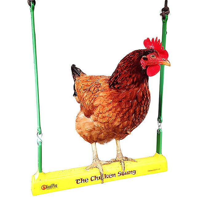 Fowl Play Chicken Swing image number null