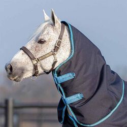 Horseware Amigo Bravo 12 Original Hood (150g Lite)