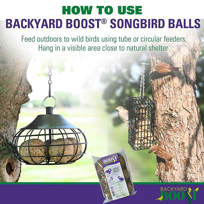 Backyard Boost Songbird Balls - 6-Pack image number null