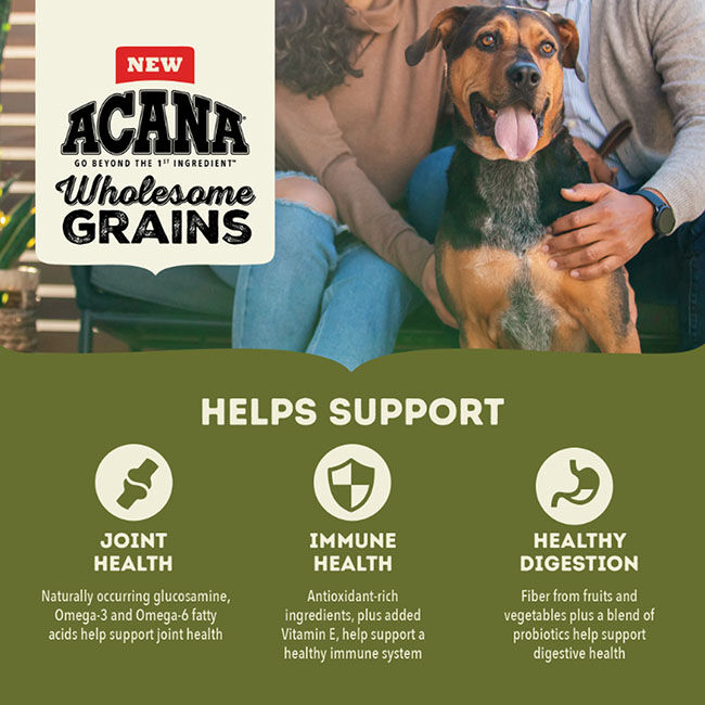 ACANA Wholesome Grains Dog Food - Large Breed Recipe image number null