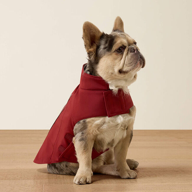 Ariat Team Softshell Dog Jacket - Syrah Leopard image number null