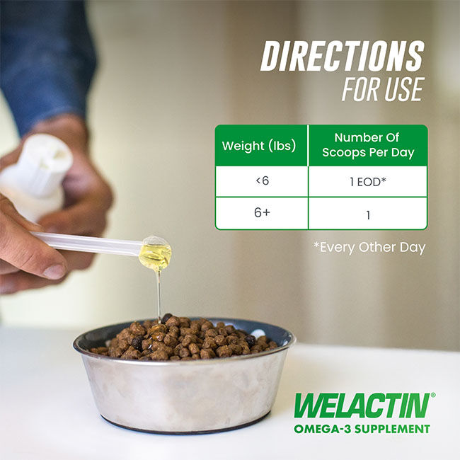 Nutramax Welactin Omega 3 Fish Oil for Cats, Skin and Coat Health Supplement, Plus Kidney, Brain, and Vision Support, Premium Omega 3 Fatty Acids EPA and DHA - 4 oz image number null