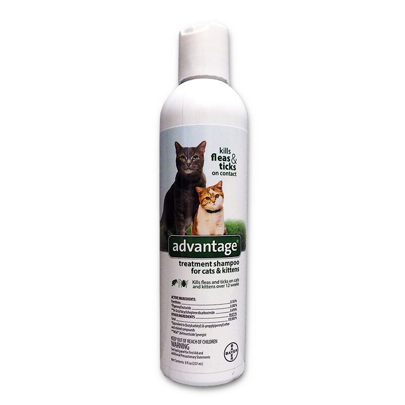 advantage cat flea shampoo