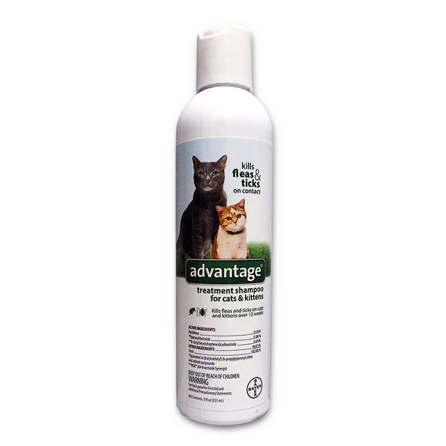 Bayer flea and tick products clearance