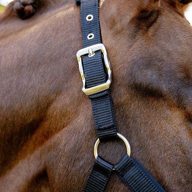 LeMieux Vogue Breakaway Halter - Black image number null