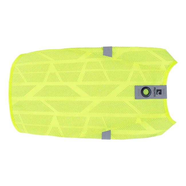 RC Pets Luna High Vis Vest for Dogs image number null