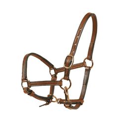 Tory Leather Weanling Halter - Havana