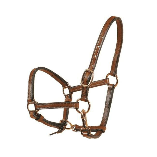 Tory Leather Weanling Halter - Havana image number null