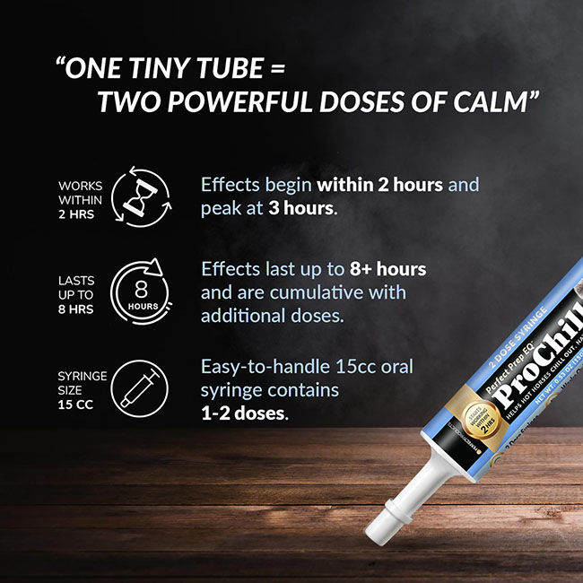 Perfect Products Perfect Prep EQ Pro Chill Concentrated Calming Paste - 15 cc Syringe image number null