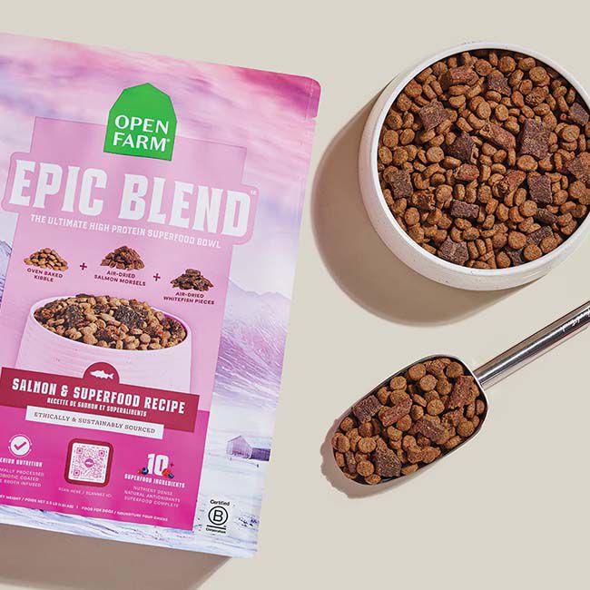 Open Farm Epic Blend High Protein Dog Food - Salmon & Superfood Recipe image number null
