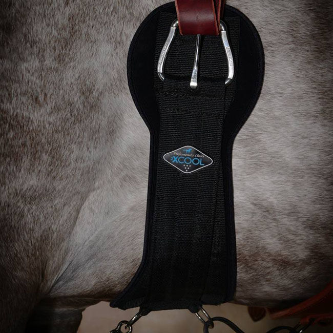 Professional's Choice 2XCool Cinch image number null