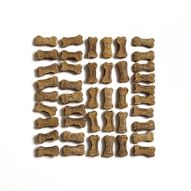 Polkadog Lucky Duck Bones image number null