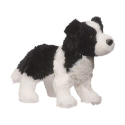 Douglas Meadow the Border Collie