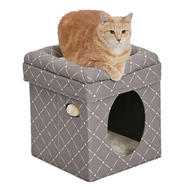 MidWest Curious Cat Cube - Mushroom Diamond Print image number null