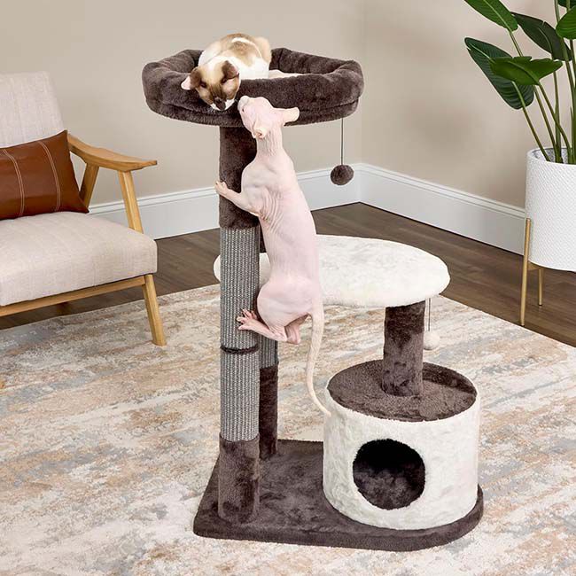 MidWest Homes for Pets Nuvo Alden Cat Tree image number null