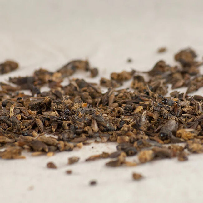 Happy Hen Cricket Craze - Dried Crickets image number null