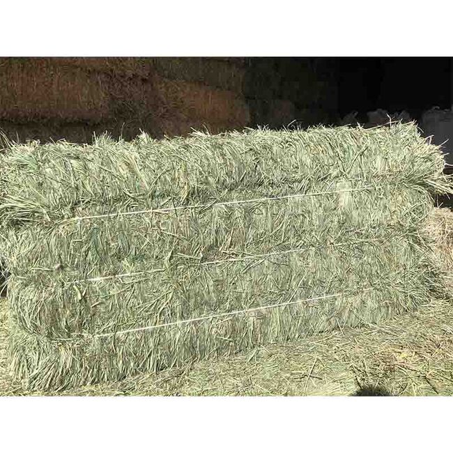 Pleasant View Farms 3 String Western Orchard Grass Bale image number null